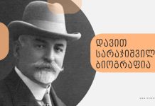 დავით სარაჯიშვილის ბიოგრაფია